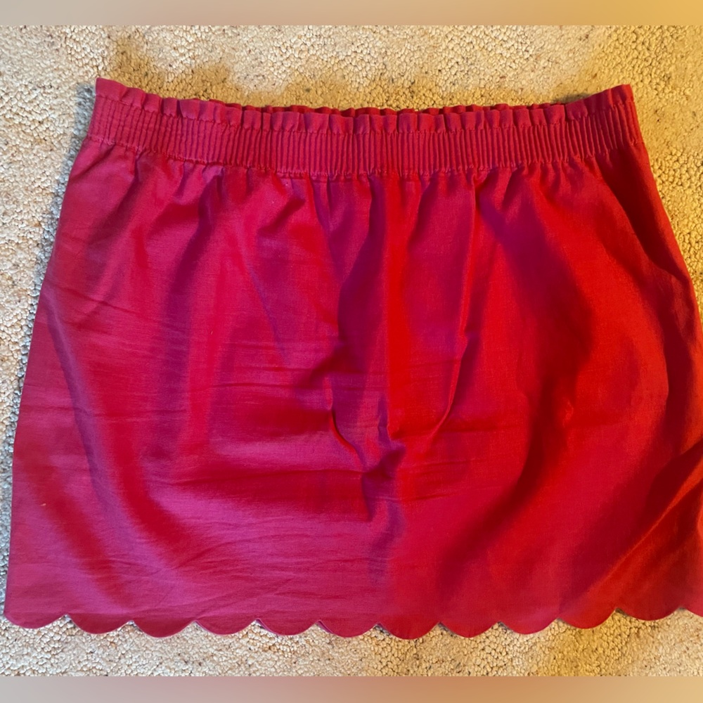 J. Crew Skirt